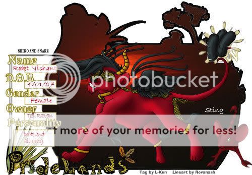 User Image